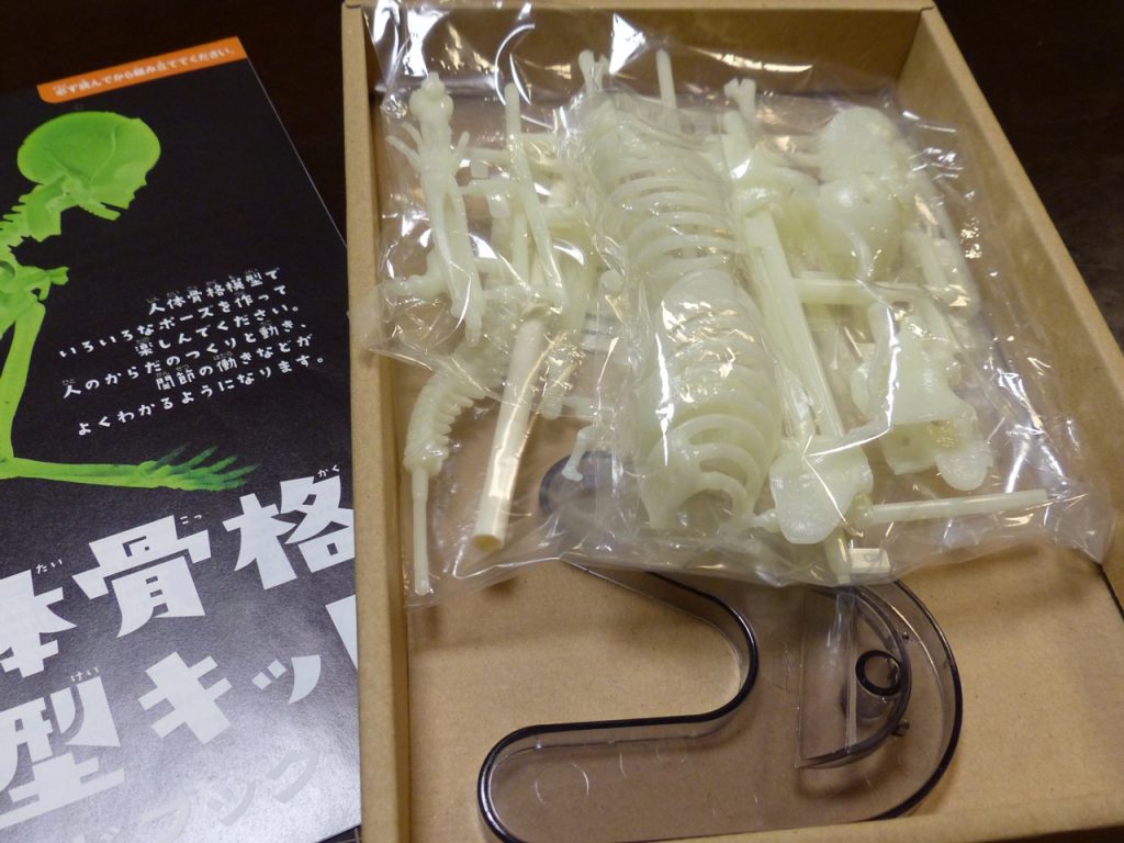 人体骨格模型キット